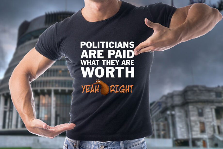 Politicians Are Paid What They Are Worth T-Shirt