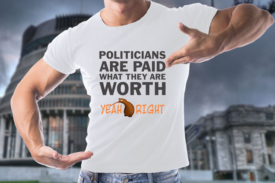 Politicians are paid what they are worth t-shirt